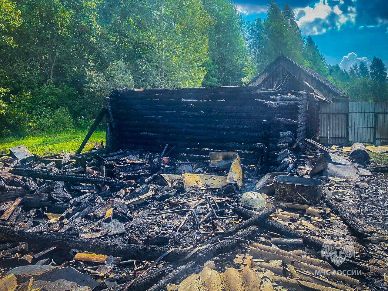 Заготовка грибов обернулась пожаром | 03.08.2023 | Смоленск - БезФормата