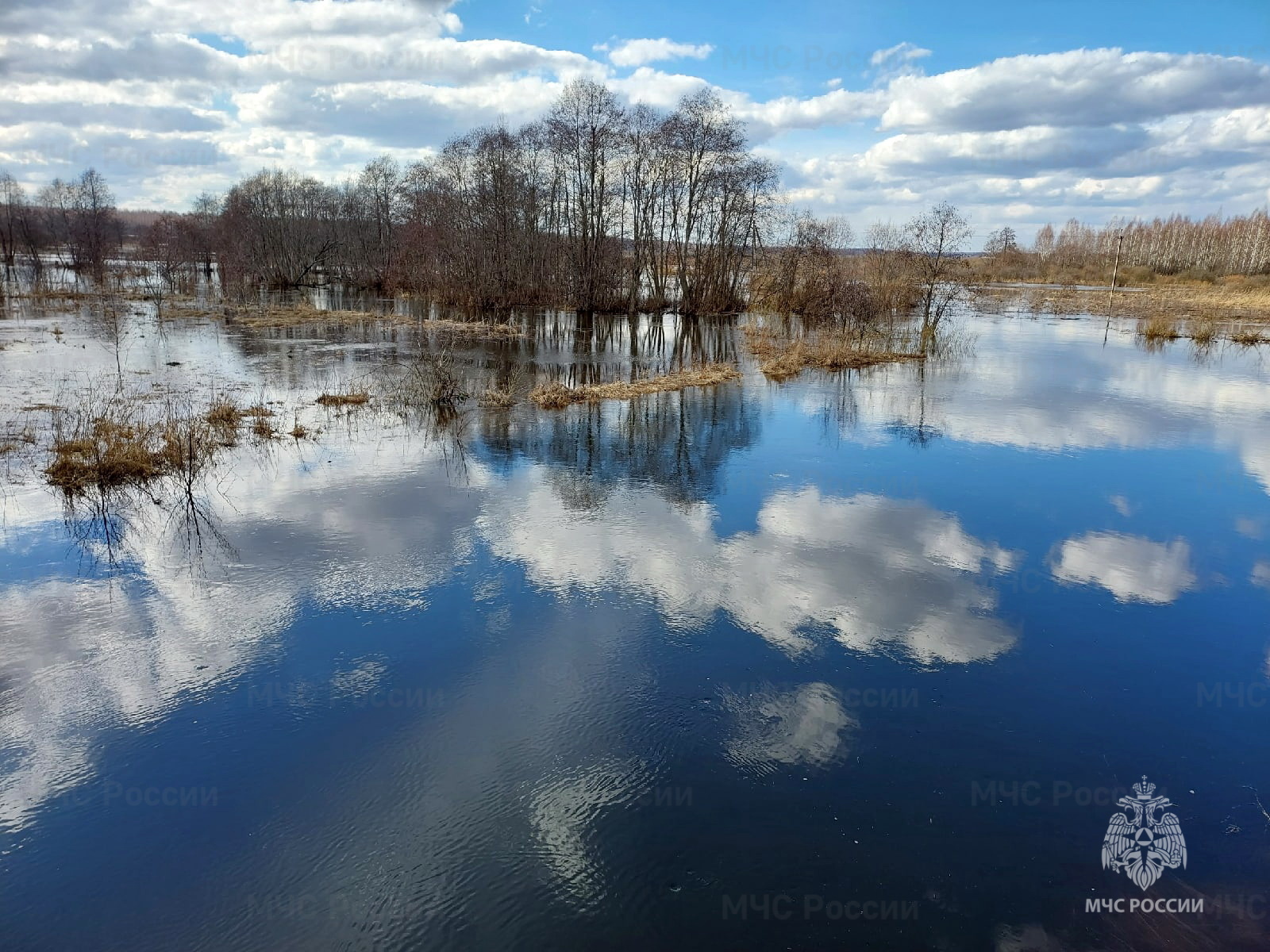 О погоде в понедельник | 18.04.2022 | Смоленск - БезФормата