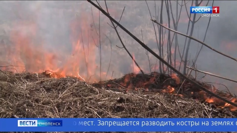 ГТРК Смоленск - в Смоленской области введен режим повышенной готовности из-за пожаров