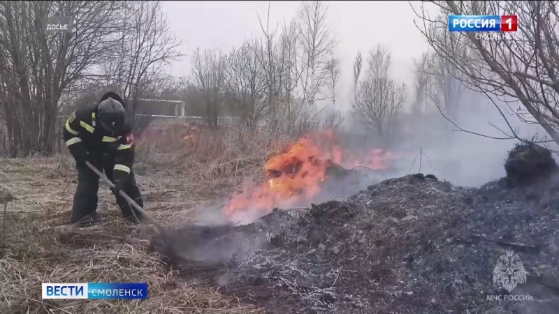 Вести-Смоленск - на Смоленщине площадь палов сравнима с размерами села Темкино